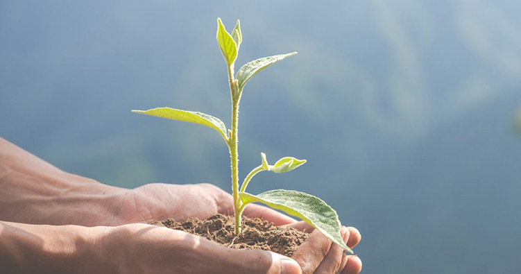 مسئولیت زیست محیطی